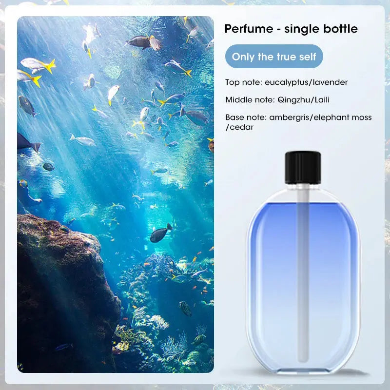 Automatic Home Fragrance Machine Essential Oil Diffuser Nebulizer Perfume Scent Machine for Kitchen and toilet deodorization Shopbizz Wholesale