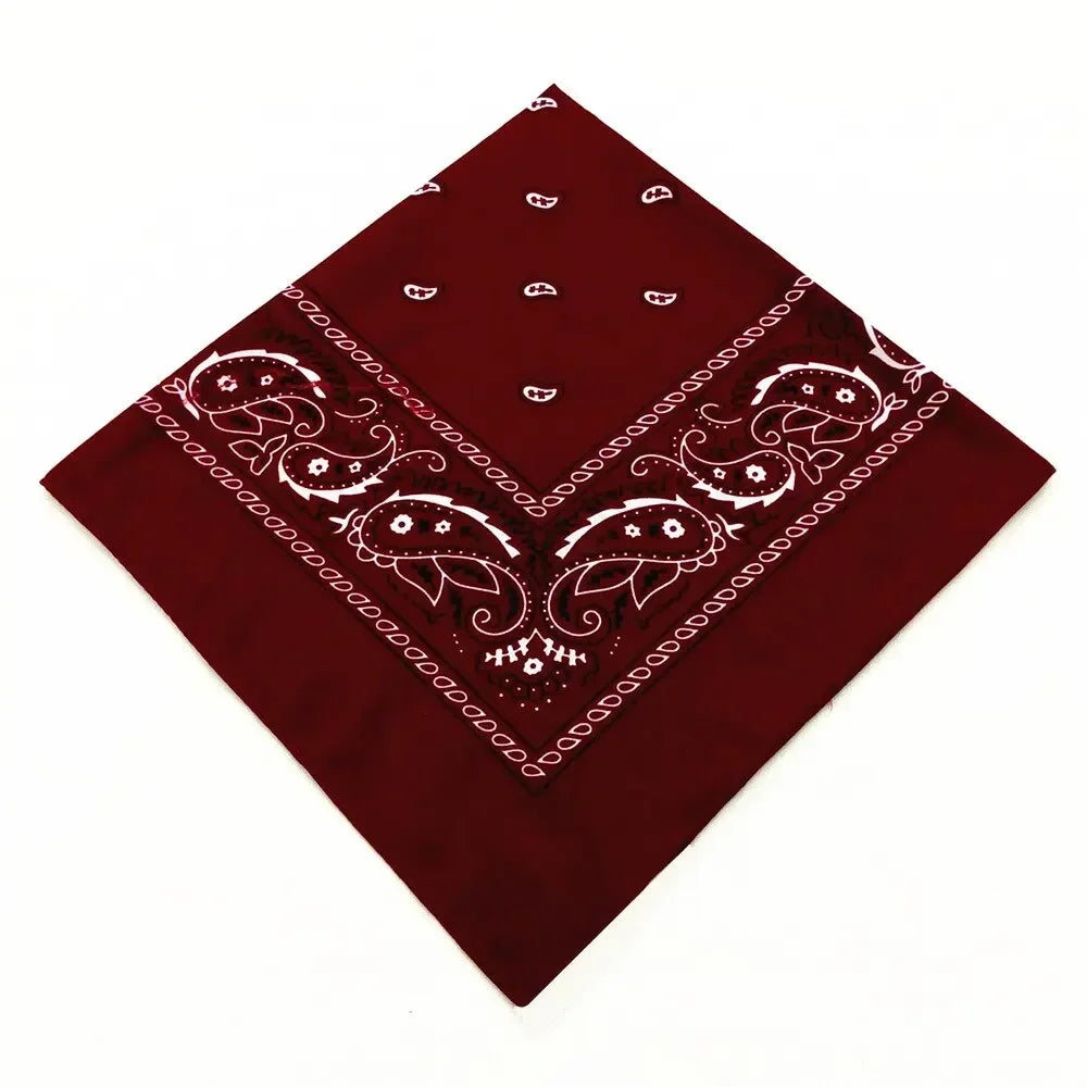 Set of 12 Pcs Paisley Print Bandana Set – Unisex Headbands, Face Masks, Wrist Wraps & Handkerchiefs ($1.65/count) Shopbizz Wholesale