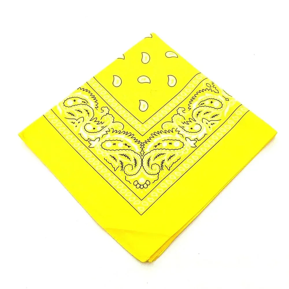 Set of 12 Pcs Paisley Print Bandana Set – Unisex Headbands, Face Masks, Wrist Wraps & Handkerchiefs ($1.65/count) Shopbizz Wholesale