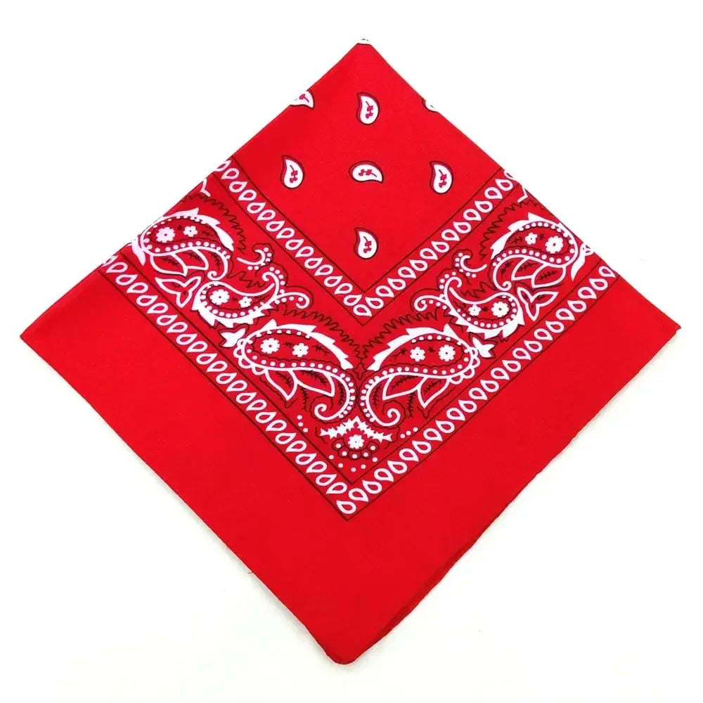 Set of 12 Pcs Paisley Print Bandana Set – Unisex Headbands, Face Masks, Wrist Wraps & Handkerchiefs ($1.65/count) Shopbizz Wholesale