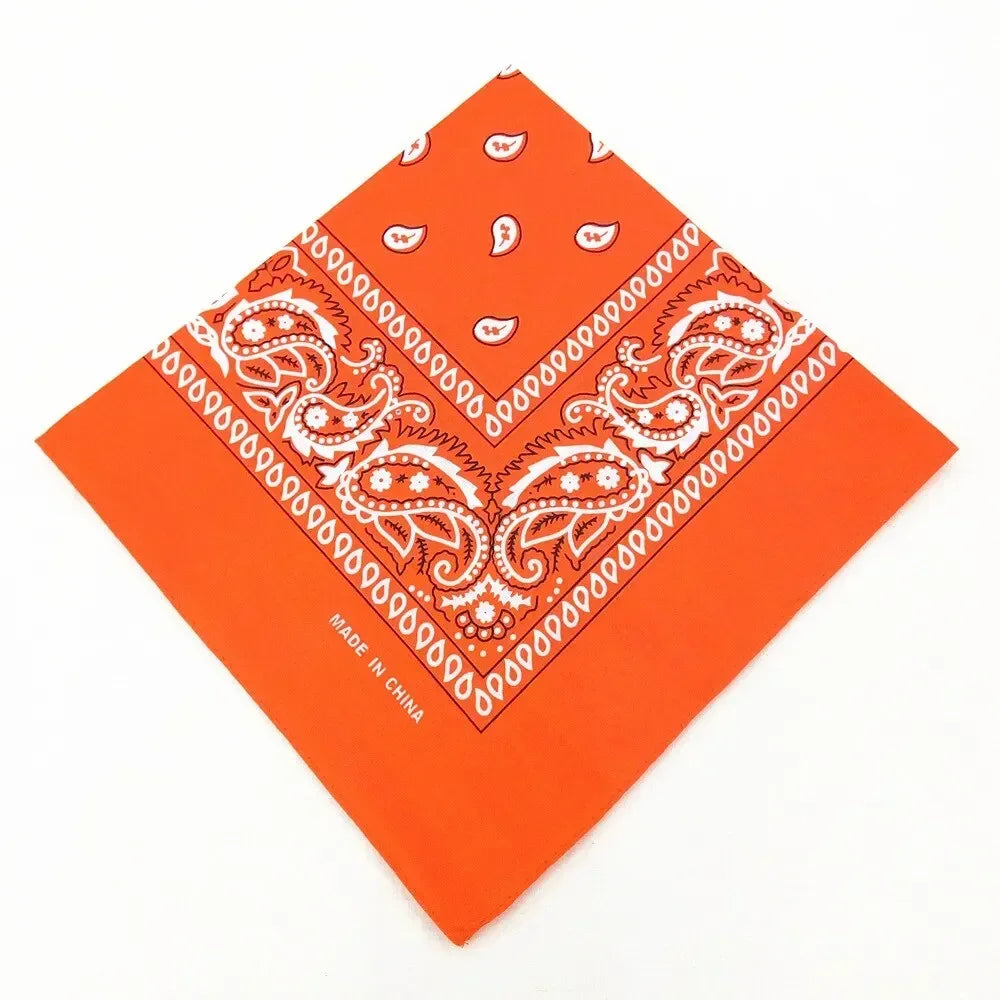 Set of 12 Pcs Paisley Print Bandana Set – Unisex Headbands, Face Masks, Wrist Wraps & Handkerchiefs ($1.65/count) Shopbizz Wholesale